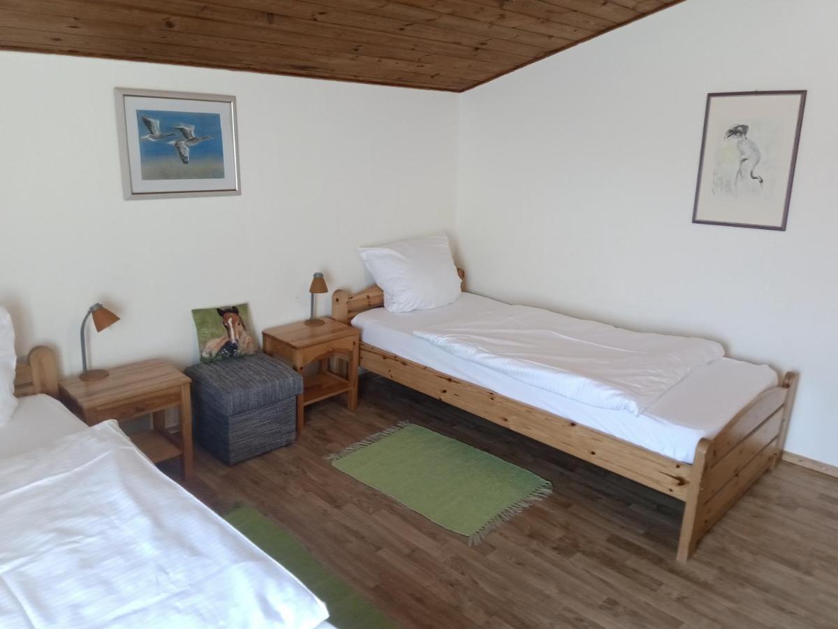 Hof Kranichweide, Skinfaxi *